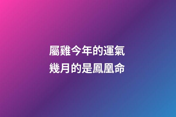 屬雞今年的運氣 幾月的是鳳凰命